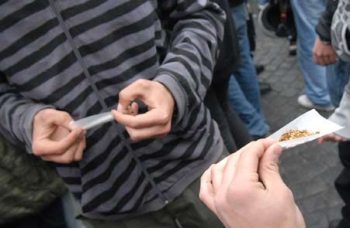 spinello marijuana - Q