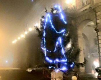 L'albero al centro della critiche