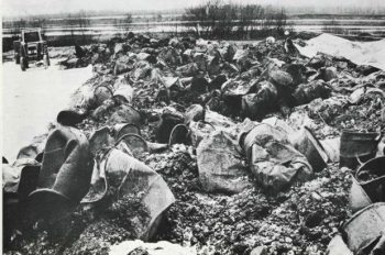 I bidoni scoperti 30 anni fa al Cadano