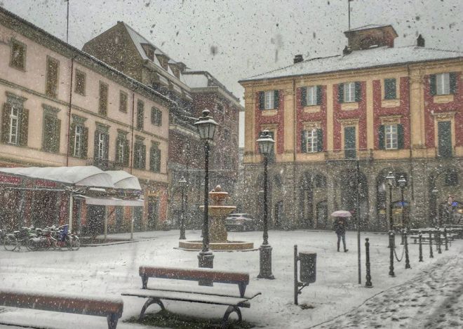 neve malaspina L