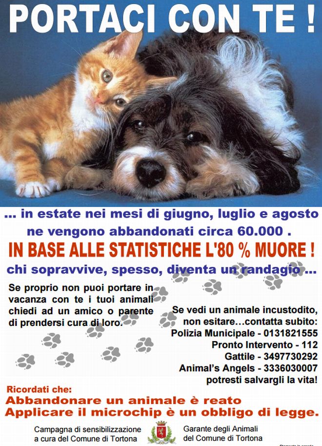 campagna cani