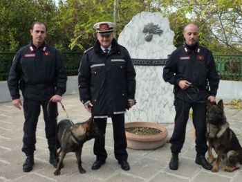 Unità cinofila Alessandria - I