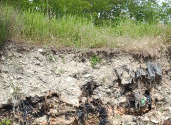 casalnoceto - Curone - I