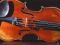 violino- p