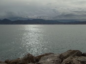 Viaggiare oggi: un giorno a Cannes per assaporare il cinema hollywoodiano