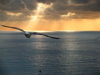 Torna il Centro estivo dei Padri Cappuccini ai prezzi più vantaggiosi di Tortona