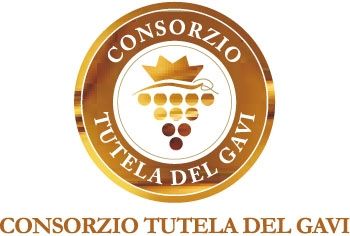 Maurizio Montobbio nuovo Presidente Consorzio Tutela Gavi