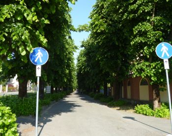 Acqui Terme, interventi e valorizzazioni della passeggiata lungo il viale in Corso Divisione