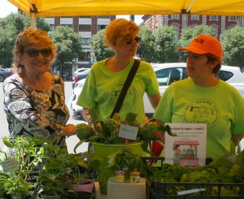 Piace ai consumatori l’orto didattico della scuola “Morbelli” di Alessandria