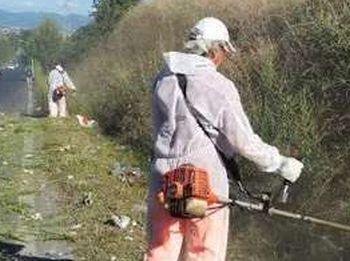 Il Comune di Alessandria toglie l’erba dai marciapiedi e li pulisce