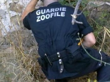 A Spigno le guardie zoofile dell’Enpa organizzano un incontro sui bocconi avvelenati