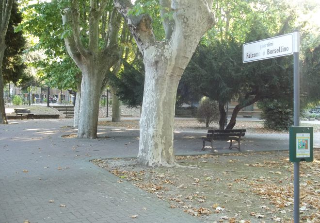 Al via il programma di manutenzione del verde ad Alessandria