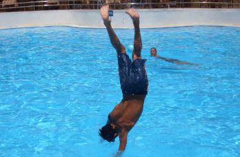 Marocchino di 15 anni autore di due rapine e agli arresti domiciliari va in piscina, rinchiuso in Comunità