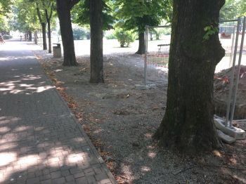 Al via i lavori di riqualificazione di viale Bistolfi a Casale