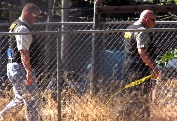 Fauna selvatica, è ancora allarme dalla Cia a Tortona