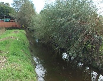 Bardone ricorda agli agricoltori tortonesi che sono obbligati a pulire i fossi