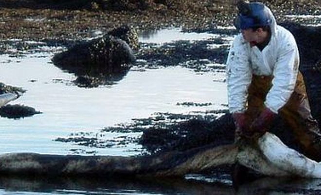 Un aggiornamento sull’inquinamento da idrocarburi a Tortona e in bassa Valle Scrivia