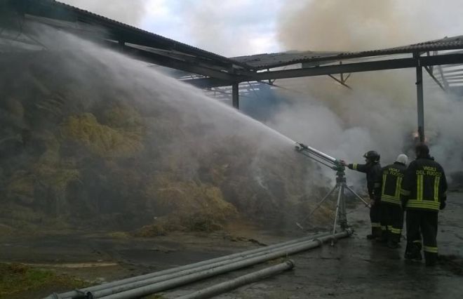 In un anno i Vigili del Fuoco di Alessandria hanno svolto 26 corsi di formazione