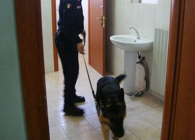 Droga nei bagni di una scuola a Tortona e i ragazzi aprono una discussione in classe, ma i controlli?