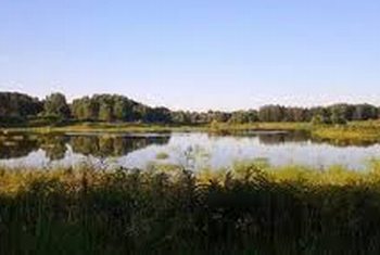 All’Oasi naturalistica di Isola Sant’Antonio si andrà a caccia di streghe