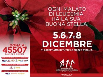 Anche ad Alessandria le stelle di Natale dell’AIL
