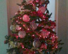 Chiude la cardiologia di Tortona, la caposala ringrazia tutti con un albero di Natale coi nomi