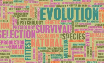 Il Liceo classico Doria di Novi a “E come Evoluzione”