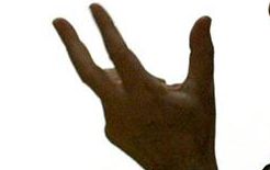 La voce fuori dal coro: Per il Comune di Tortona Anna Maria é come Dio, una e trina?