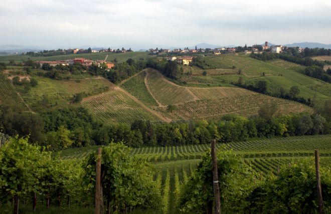 Gli agricoltori tortonesi si sono riuniti in assemblea ed hanno eletto i loro rappresentanti