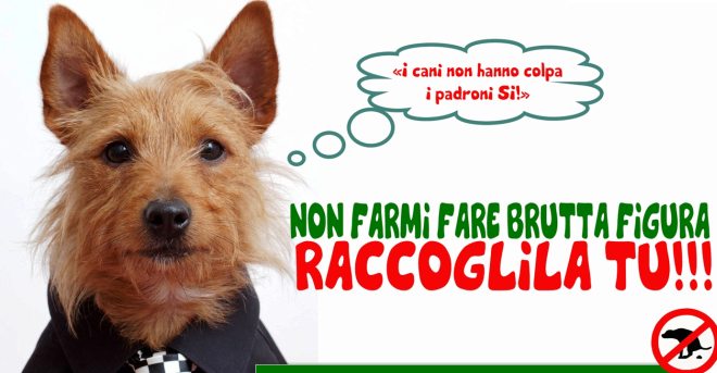 Tre novesi multati perché non  hanno raccolto le deiezioni dei loro cani
