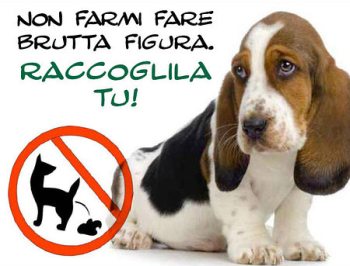 Troppi escrementi di cani in giro per la città di Alessandria, il Comune chiede RISPETTO!