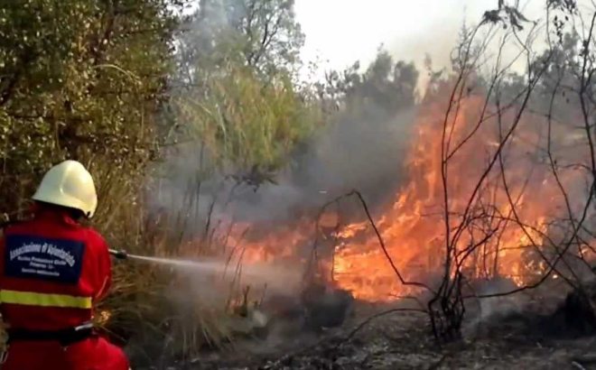 Brucia un campo alla periferia di Castelnuovo Scrivia