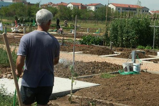 Ad Alessandria c’é un bando per assegnare orti agli anziani