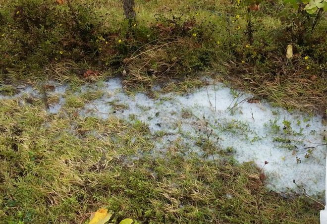 50 pozzi già inquinati a Tortona, ma l’ultimo sversamento rischia di farne aumentare il numero