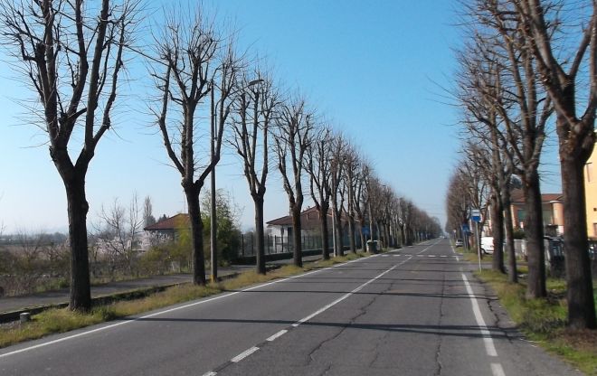 Lavori all’illuminazione pubblica a Pontecurone