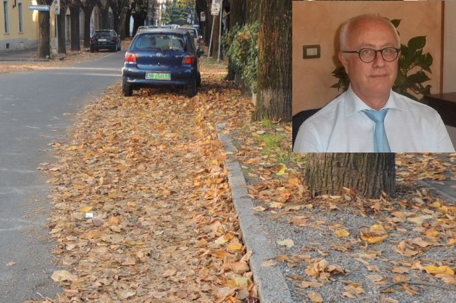 La “Cappella” di Semino sulle foglie: “Abbiamo detto di sospendere la raccolta da ottobre…”