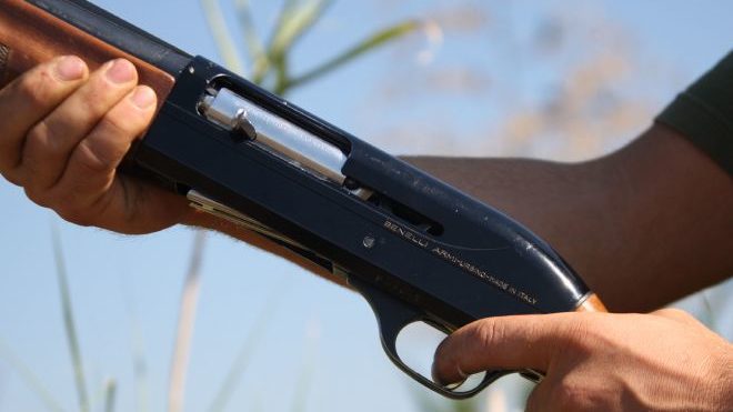 Il piano di abbattimento dei cinghiali infetti dalla peste suina