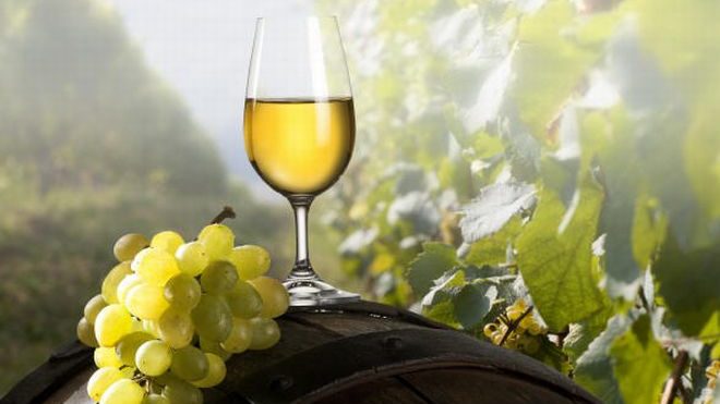 Al Timorasso del Tortonese Giacomo Boveri il massimo riconoscimento nella guida Vini d’Italia 2026 del Gambero Rosso