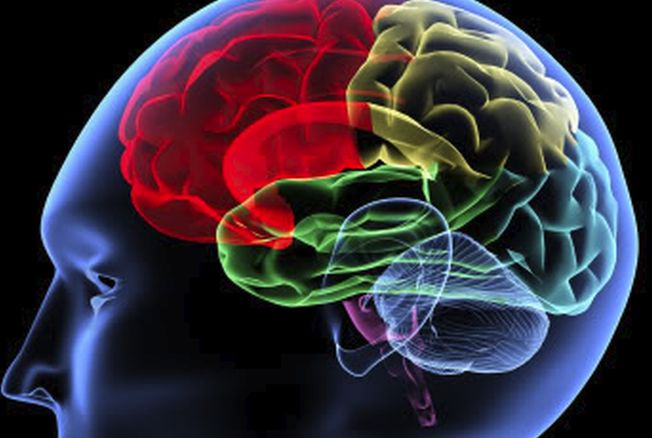 Prime iniziative dell’associazione “gli amici di lucia” per i malati di parkinson di Alessandria