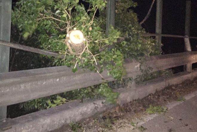 Tortona, vento e pioggia nella notte, piante pericolanti a Torregarofoli