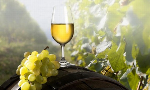 Venerdì al via a Casale la Festa del vino del Monferrato. Tutto il, programma