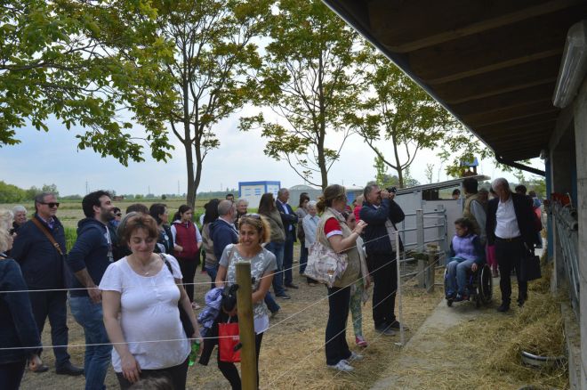 Al circo di elilu di Castelnuovo Scrivia c’è mangiarmaggio rassegna di razze, alimenti e usanze…