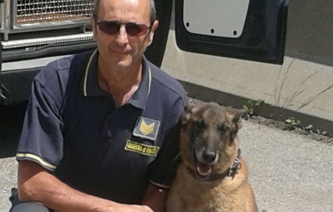 La finanza di Novi con l’aiuto del cane Kaos, scopre due giovani con dosi di marijuana
