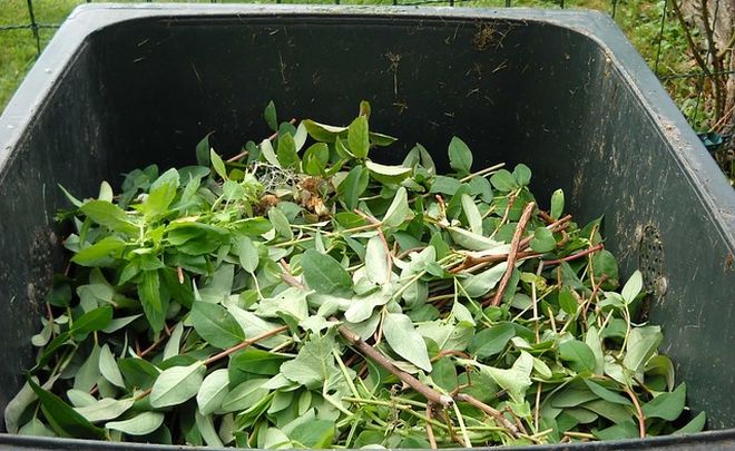 Parte la raccolta del verde nei sobborghi di Alessandria