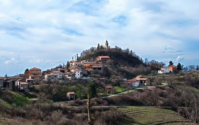 Che belle le ginestre vicino ad Avolasca!!