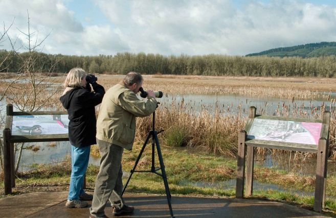 Domenica si fa birdwatching all’area naturalistica di Isola Sant’Antonio, come partecipare