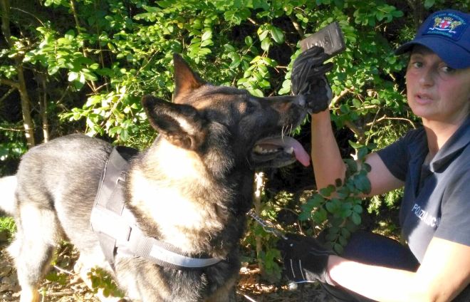 I vigili urbani di Alessandria col cane Fox scoprono pacchi di Hashish ai giardini della stazioe