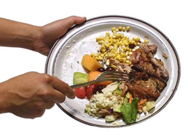 A Tortona si preferisce gettare il cibo piuttosto che darlo ai cani? Fiumi di email, ma né Comune, né garante degli animali rispodono