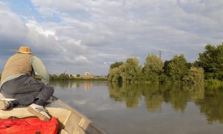 Mercoledì a Casale il secondo appuntamento de ‘Il Parco va in biblioteca, la biblioteca va al Parco