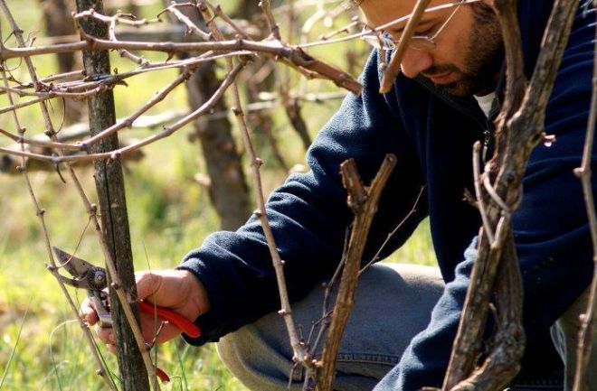 Domenica c’é “Quatar pass par timurass” degustazione nelle cantine della zona e….